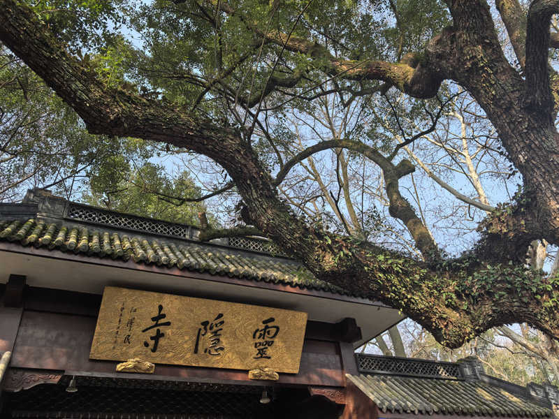 圖片344.jpg